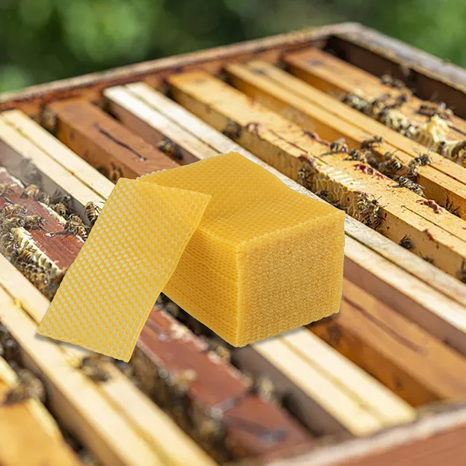 ألواح شمع النحل 5.24 × 3.54 بو - مراجعة Candle Making Kit Beeswax وسعره
